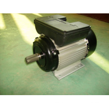 Motor eléctrico monofásico de Yl (YL90L2)